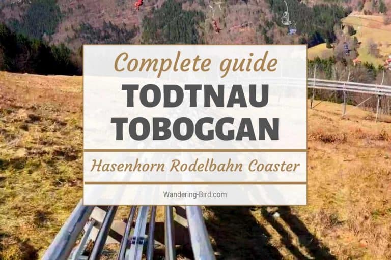 Hasenhorn Rodelbahn Todtnau Toboggan Coaster Germany