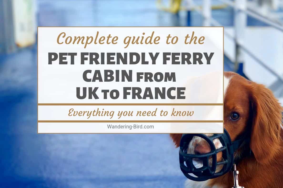 Taking a dog to France from UK? Try a pet-friendly cabin on a ferry.