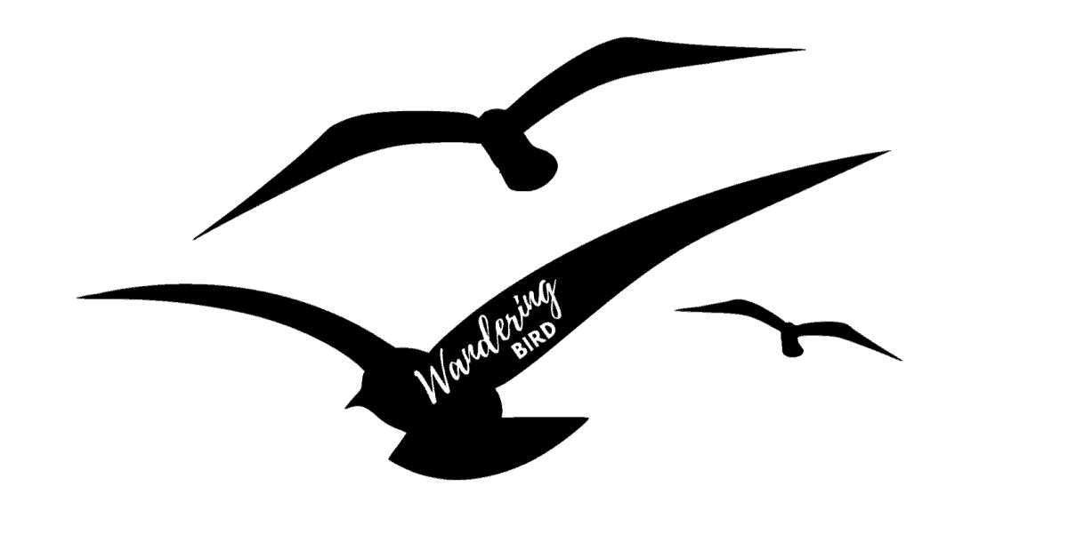 Wandering Bird Motorhome Van Sticker