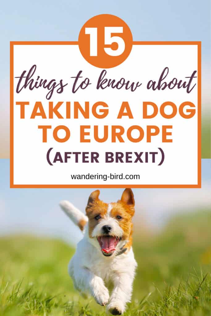 Taking Dog to France (or Europe) from the UK what to do